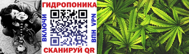 Наркотические вещества Слюдянка Каннабис Галлюциногенные грибы АМФ Гашиш A-PVP МЕФ