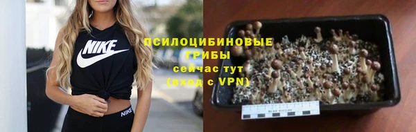 кокаин Алексеевка